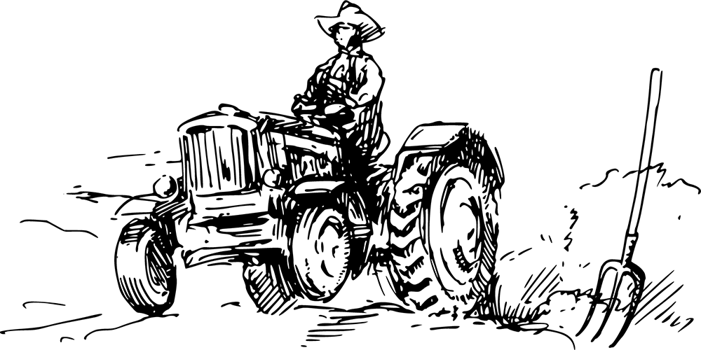 Agrisetu Seeds Pvt Ltd